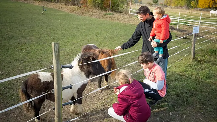 Kinder mit Pferden